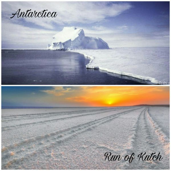 antarctica-vs-run-of-kutch